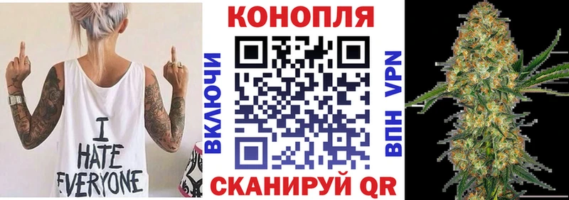 МАРИХУАНА ГИДРОПОН  где купить наркоту  Медынь 